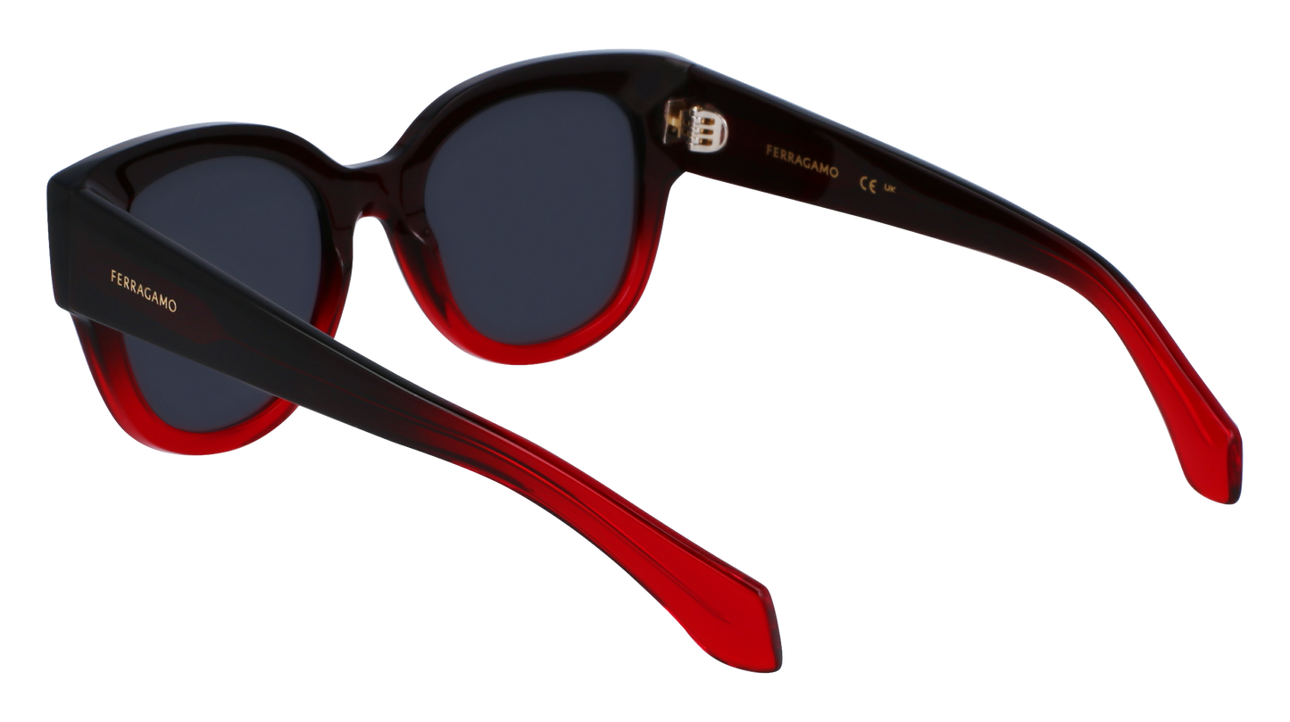 FERRAGAMO Sunglasses SF2007S 615 51