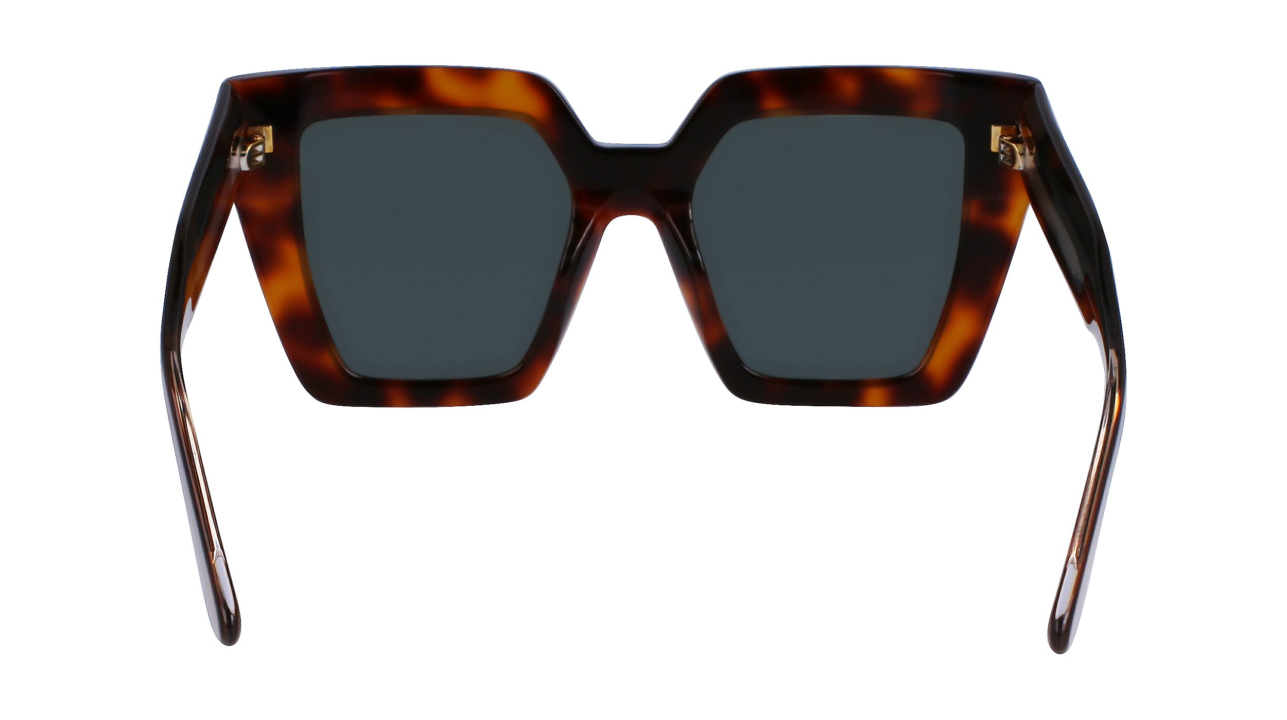 CALVIN KLEIN Sunglasses CK23502S 220 52