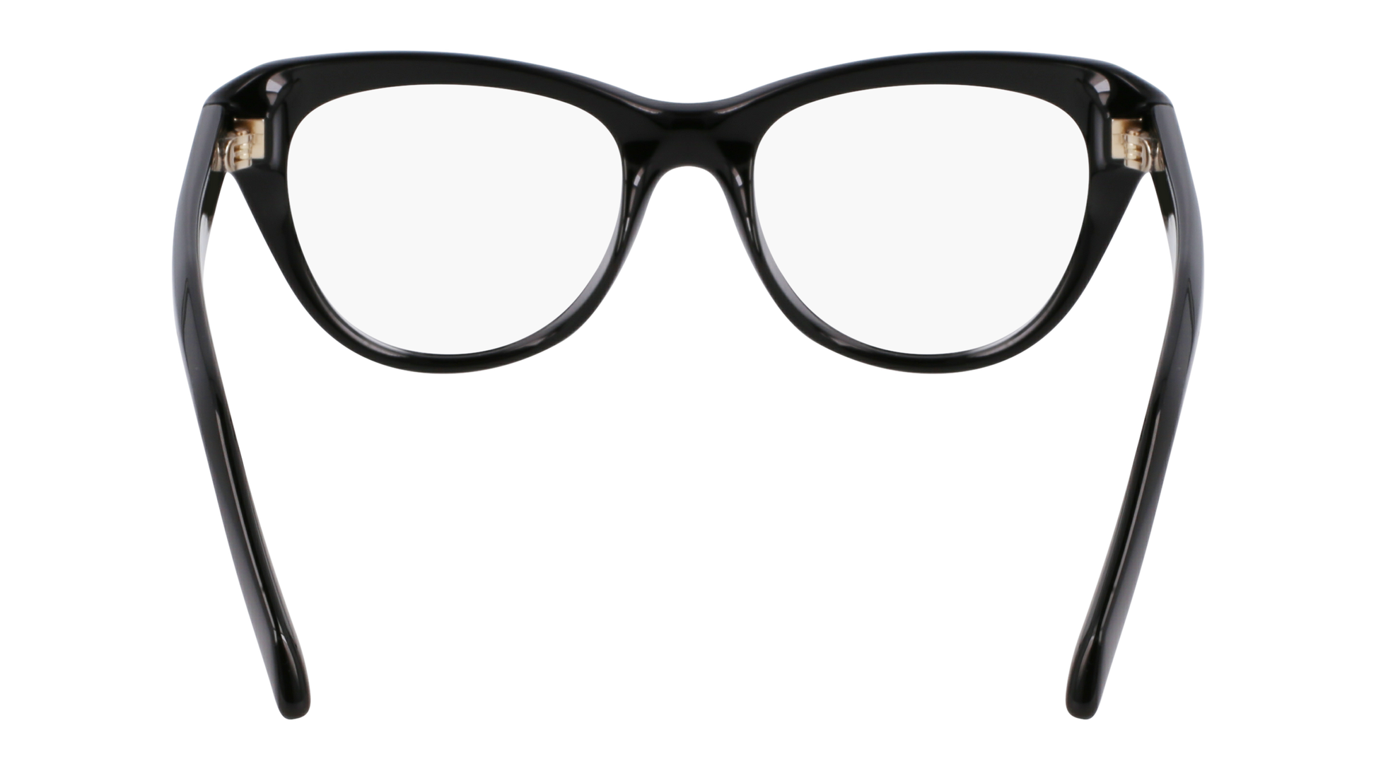 FERRAGAMO Eyeglasses SF2989E 1 51