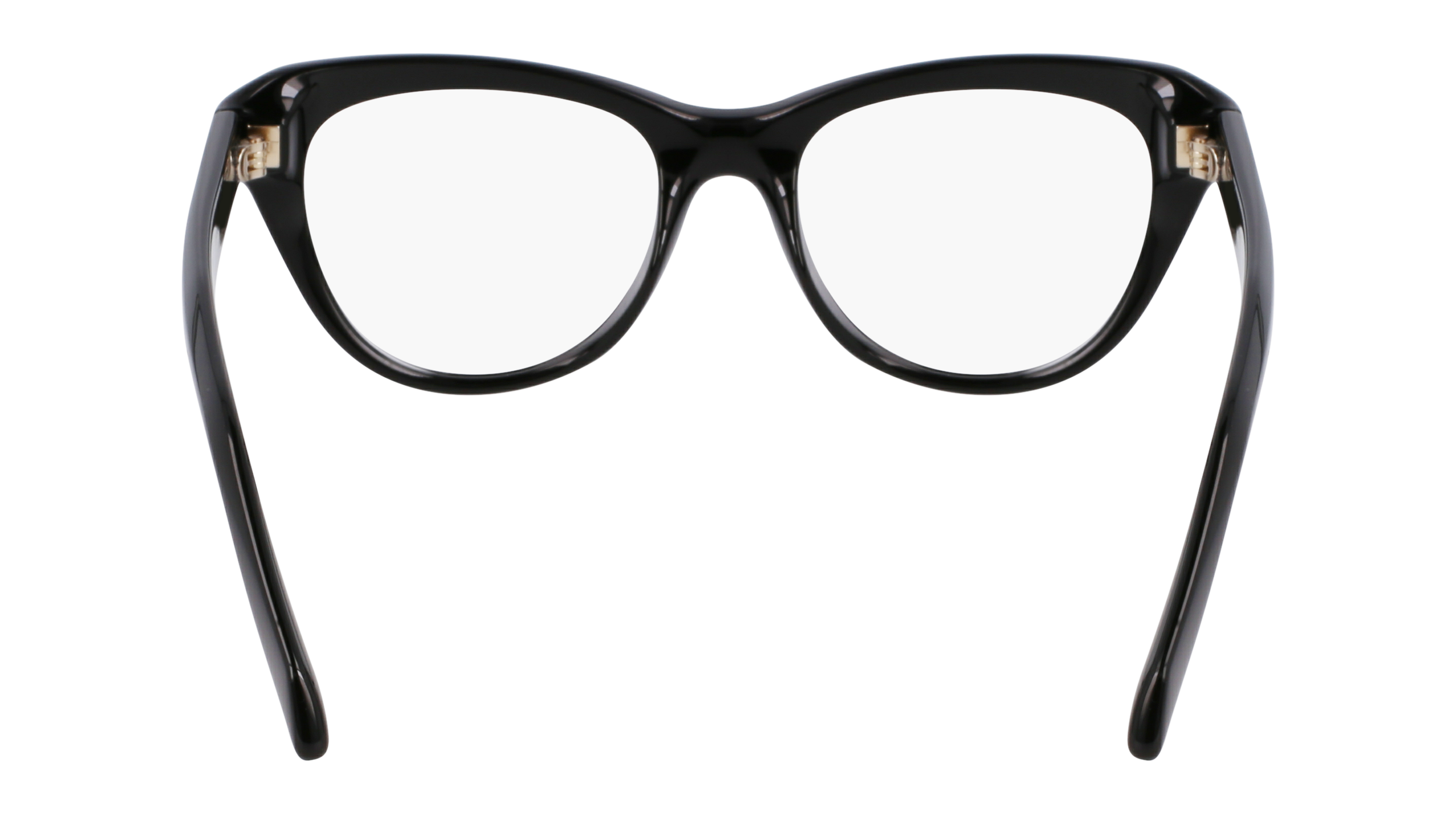 FERRAGAMO Eyeglasses SF2989E 1 51