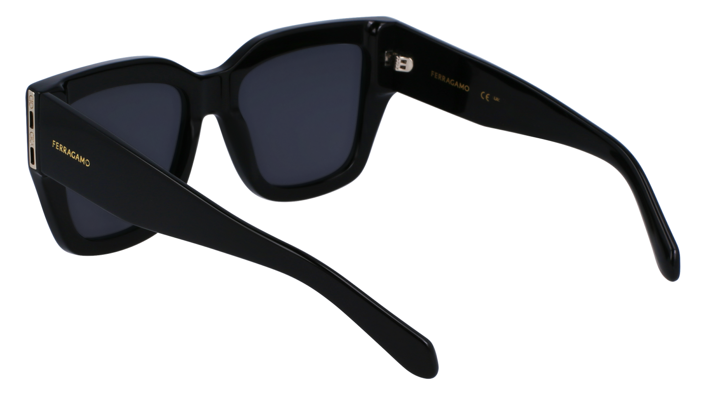 FERRAGAMO Sunglasses SF1104S 1 55