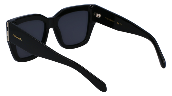 FERRAGAMO Sunglasses SF1104S 1 55