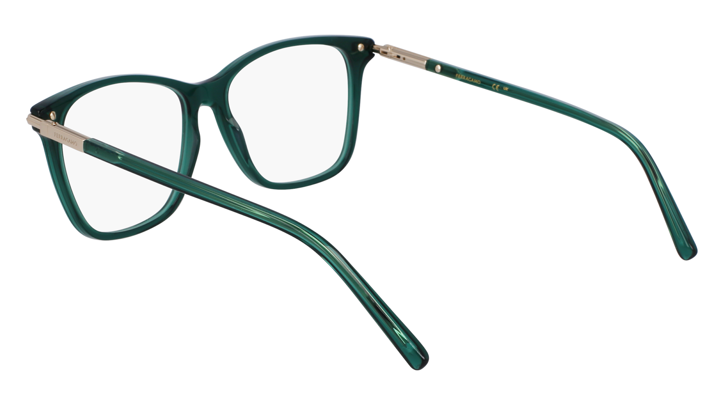 FERRAGAMO Eyeglasses SF3013 317 53