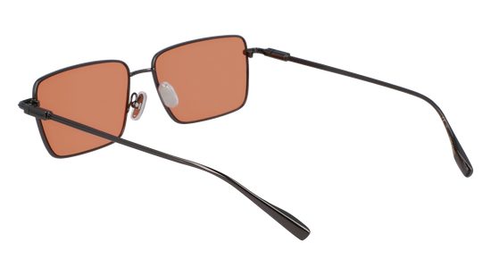 FERRAGAMO Sunglasses SF309S 17 57