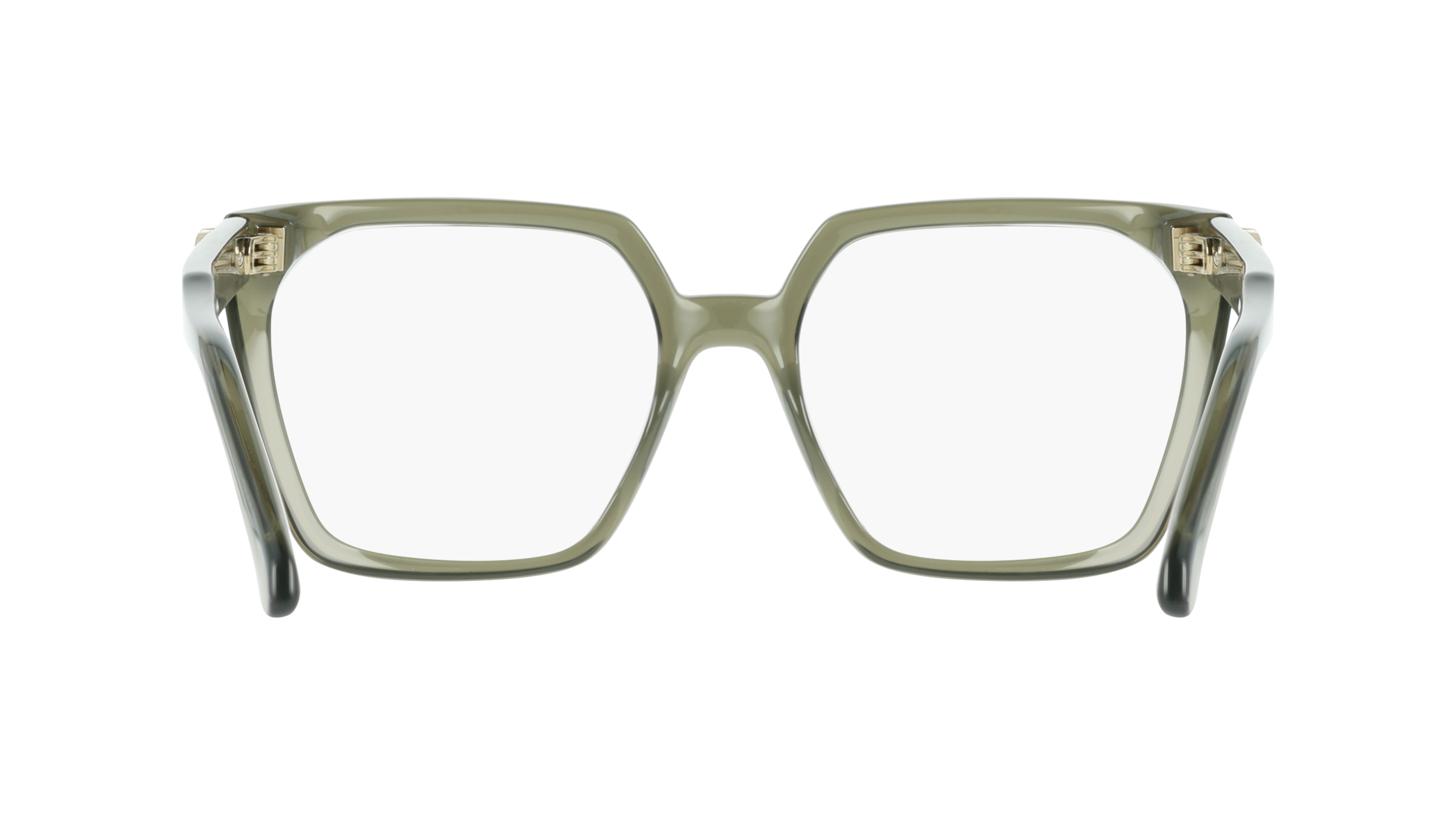 Ferragamo SF3042E 320