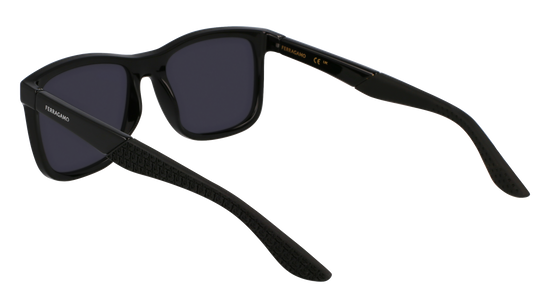 FERRAGAMO Sunglasses SF1028SN 1 56