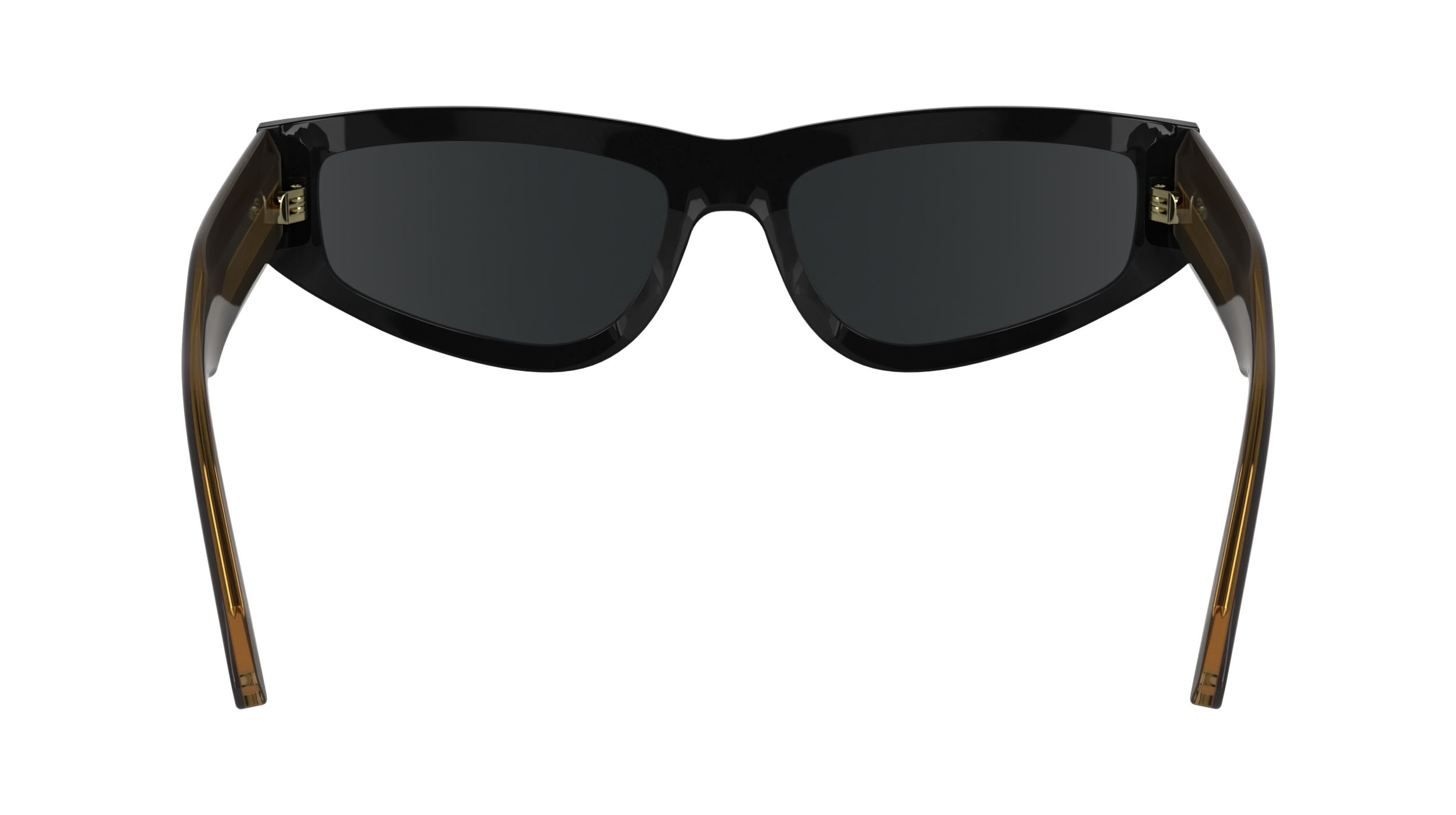 CALVIN KLEIN Sunglasses CK24534S 1 54