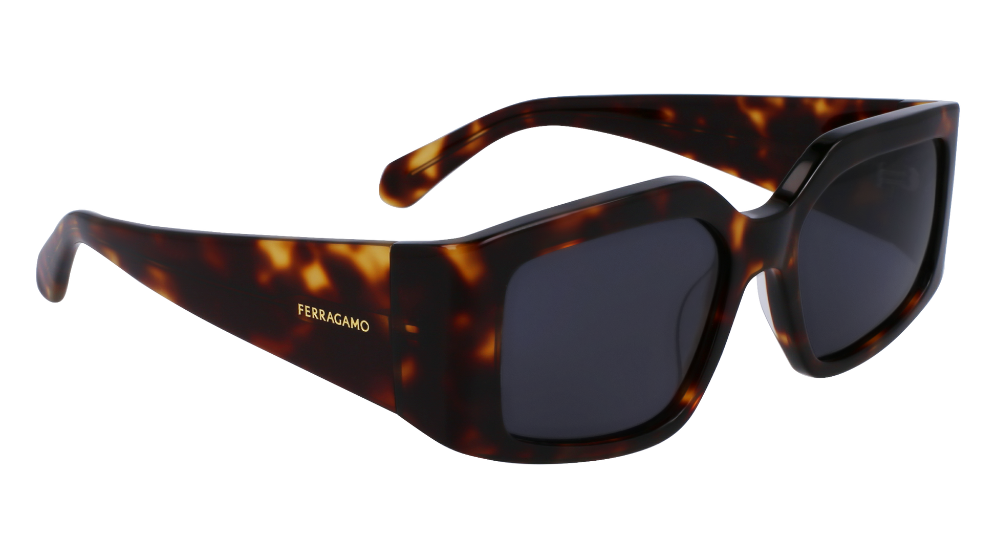 FERRAGAMO Sunglasses SF1101S 242 54