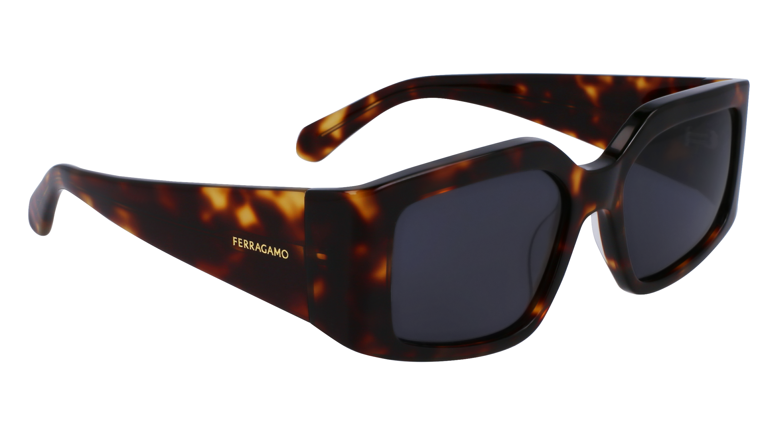 FERRAGAMO Sunglasses SF1101S 242 54