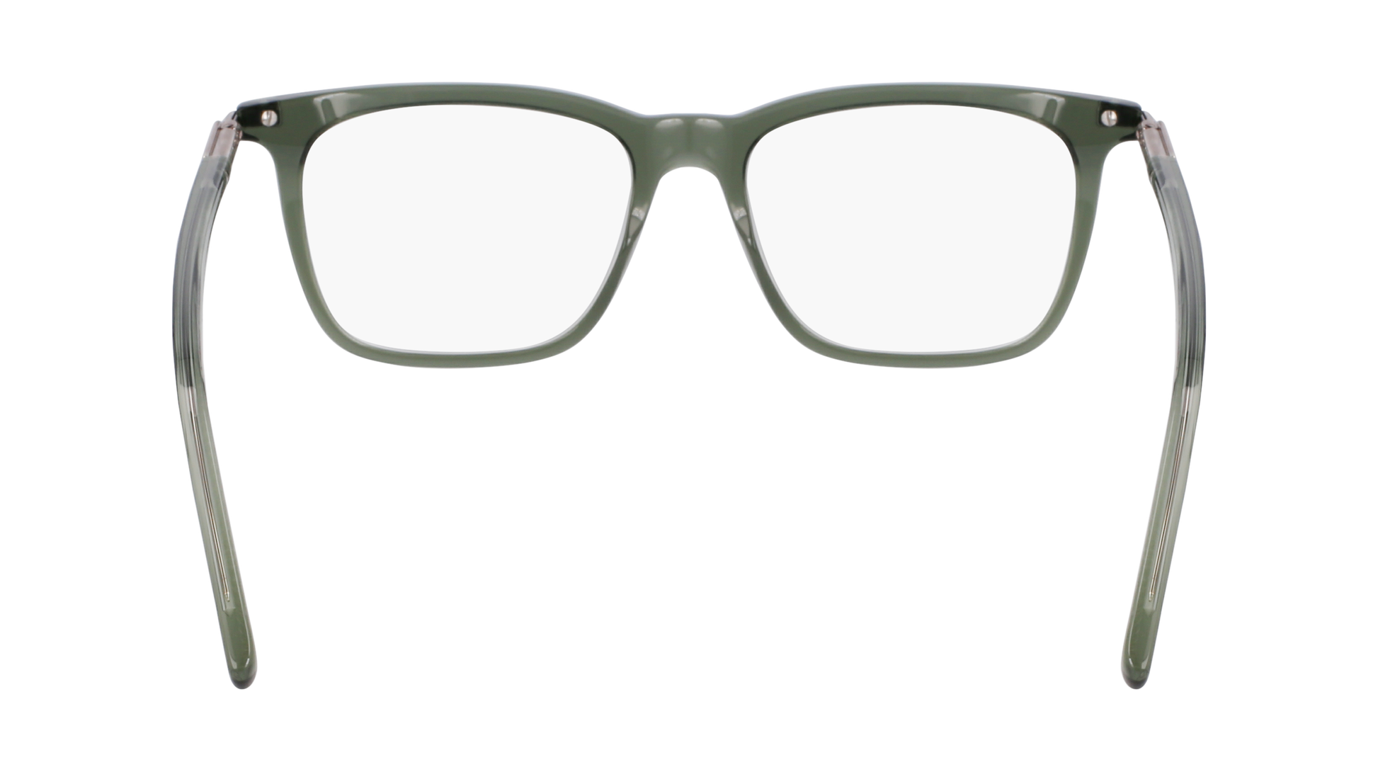 FERRAGAMO Eyeglasses SF3007 317 53