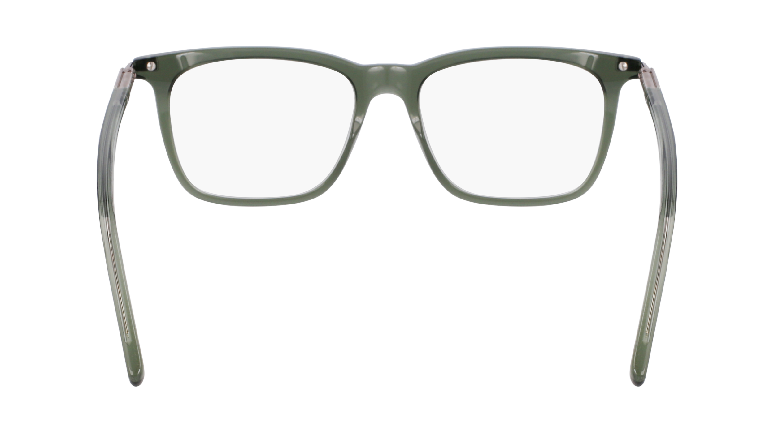 FERRAGAMO Eyeglasses SF3007 317 53