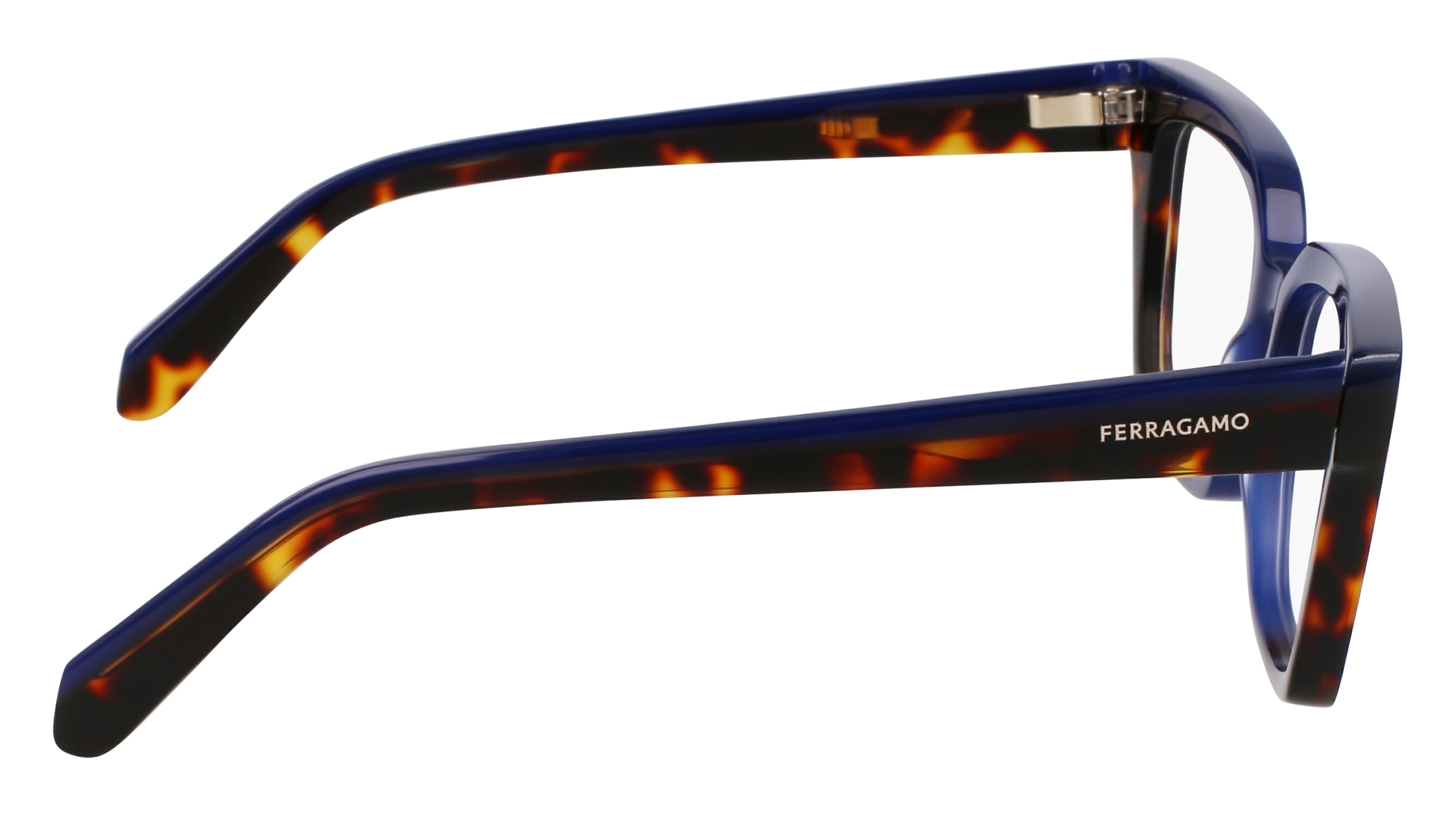 FERRAGAMO Eyeglasses SF3010 424 52