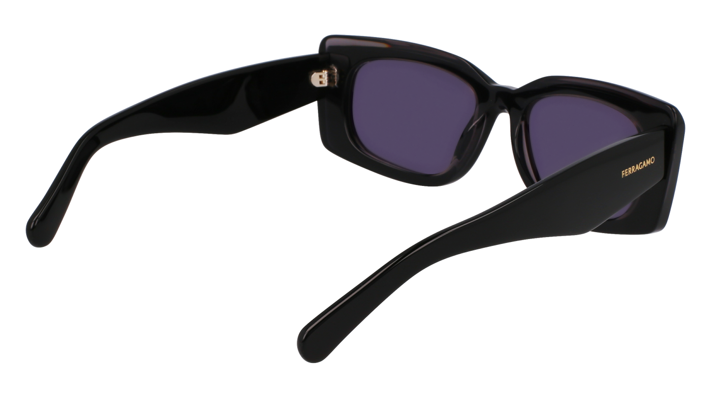 FERRAGAMO Sunglasses SF1079SN 22 54