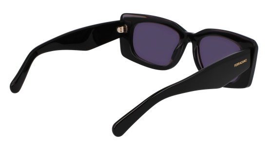 FERRAGAMO Sunglasses SF1079SN 22 54