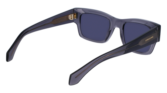 FERRAGAMO Sunglasses SF2011S 20 53