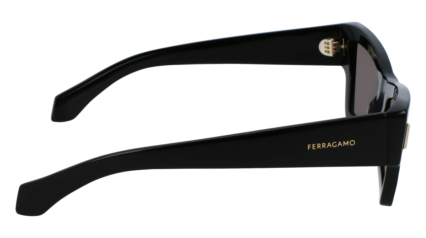 FERRAGAMO Sunglasses SF2006S 1 53