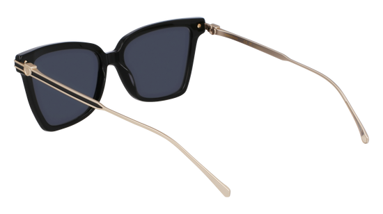 FERRAGAMO Sunglasses SF2036S 1 56