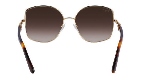 FERRAGAMO Sunglasses SF304S 745 58