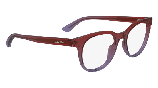 CALVIN KLEIN Eyeglasses CK24522 603 52