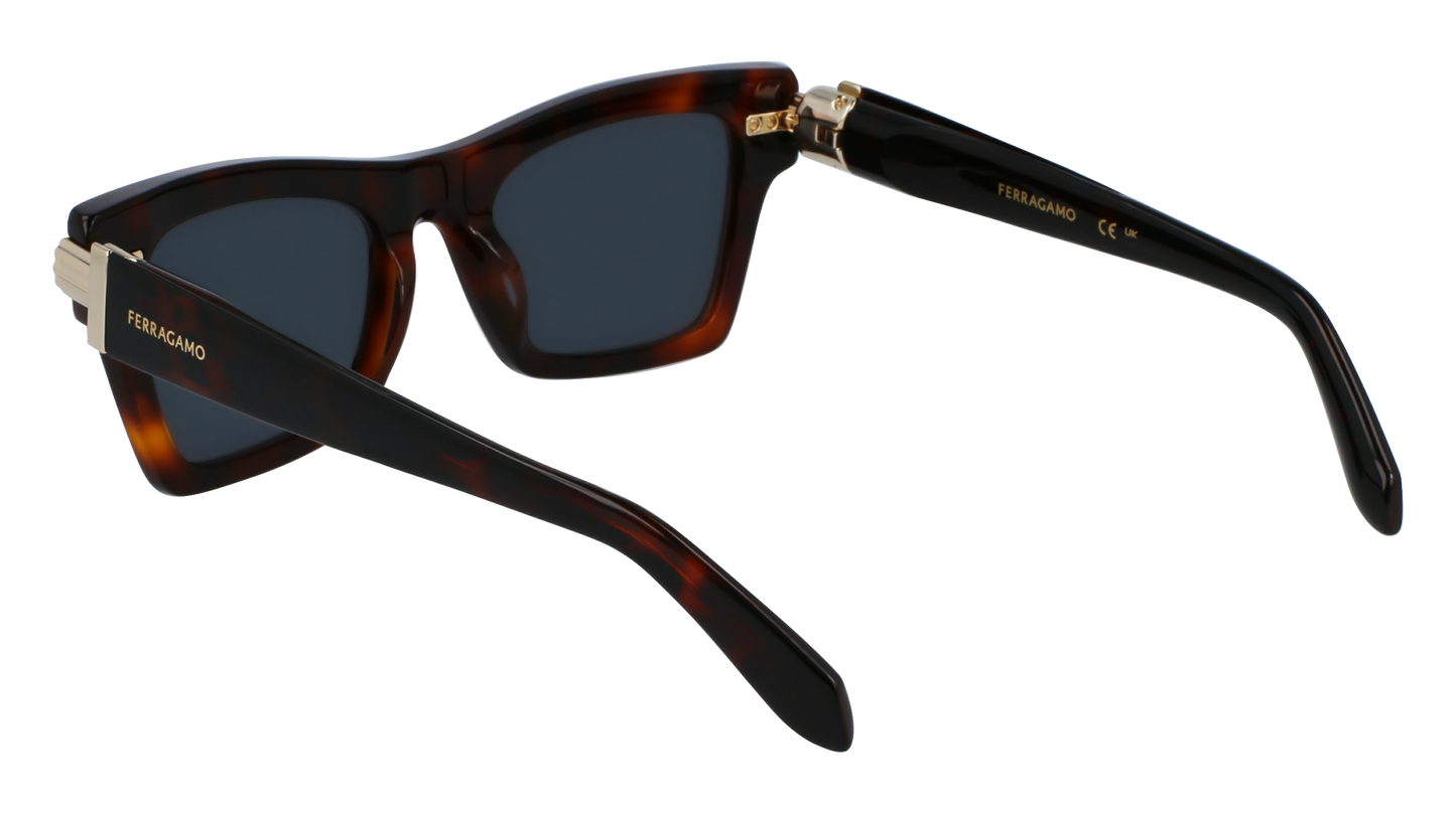 FERRAGAMO Sunglasses SF2013S 240 52