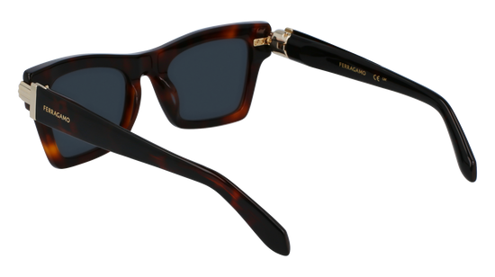 FERRAGAMO Sunglasses SF2013S 240 52