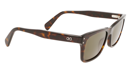 FERRAGAMO Sunglasses SF1039S 240 54