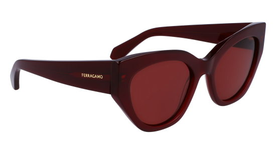 FERRAGAMO Sunglasses SF1107S 653 55