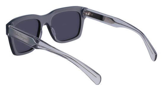 FERRAGAMO Sunglasses SF1087S 58 56