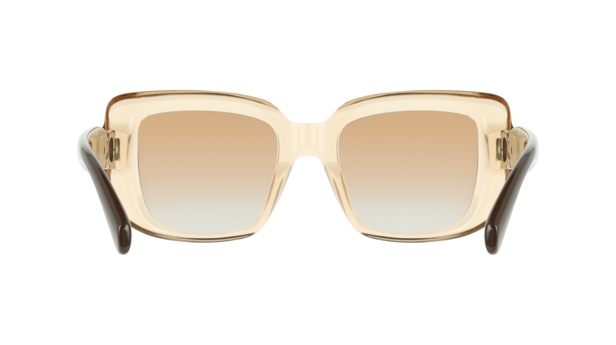 Ferragamo SF2117S 213
