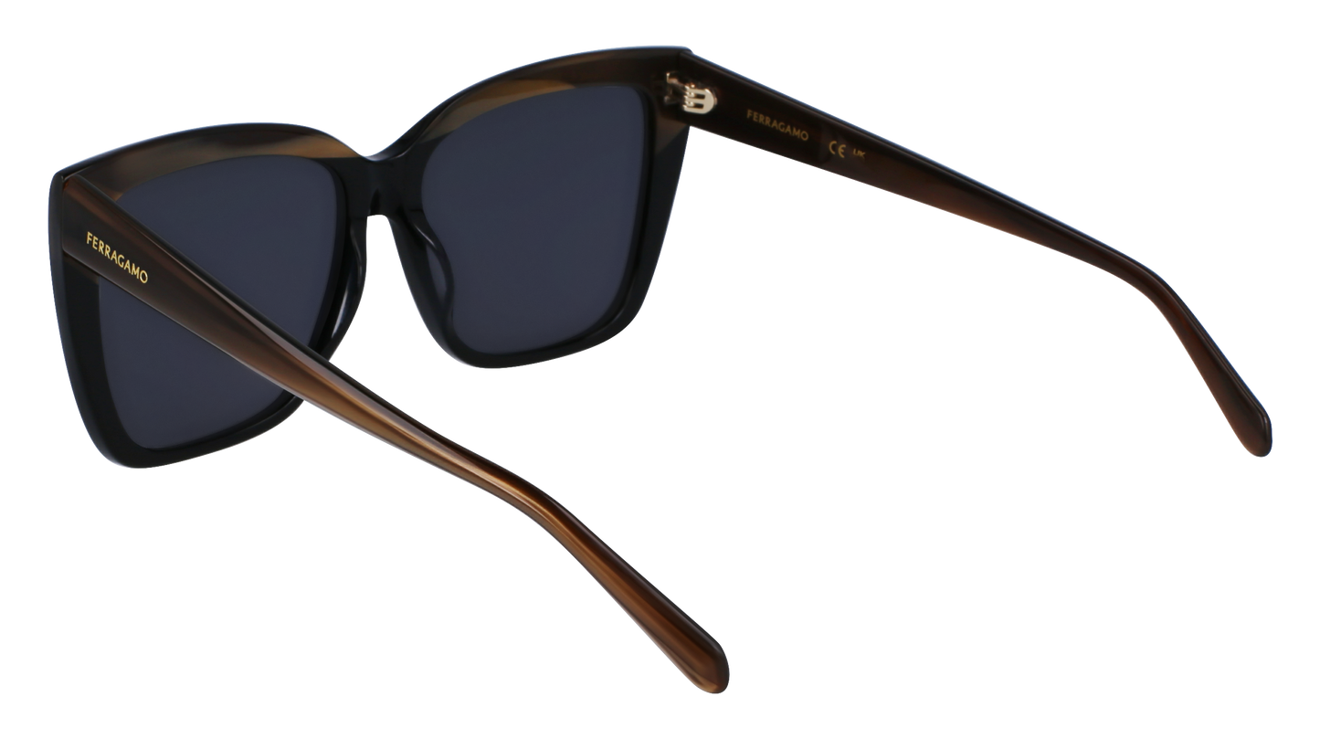 FERRAGAMO Sunglasses SF1102S 217 58