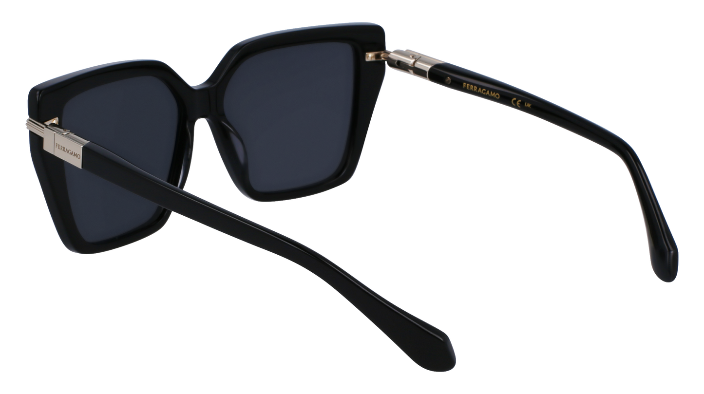 FERRAGAMO Sunglasses SF1106S 1 57