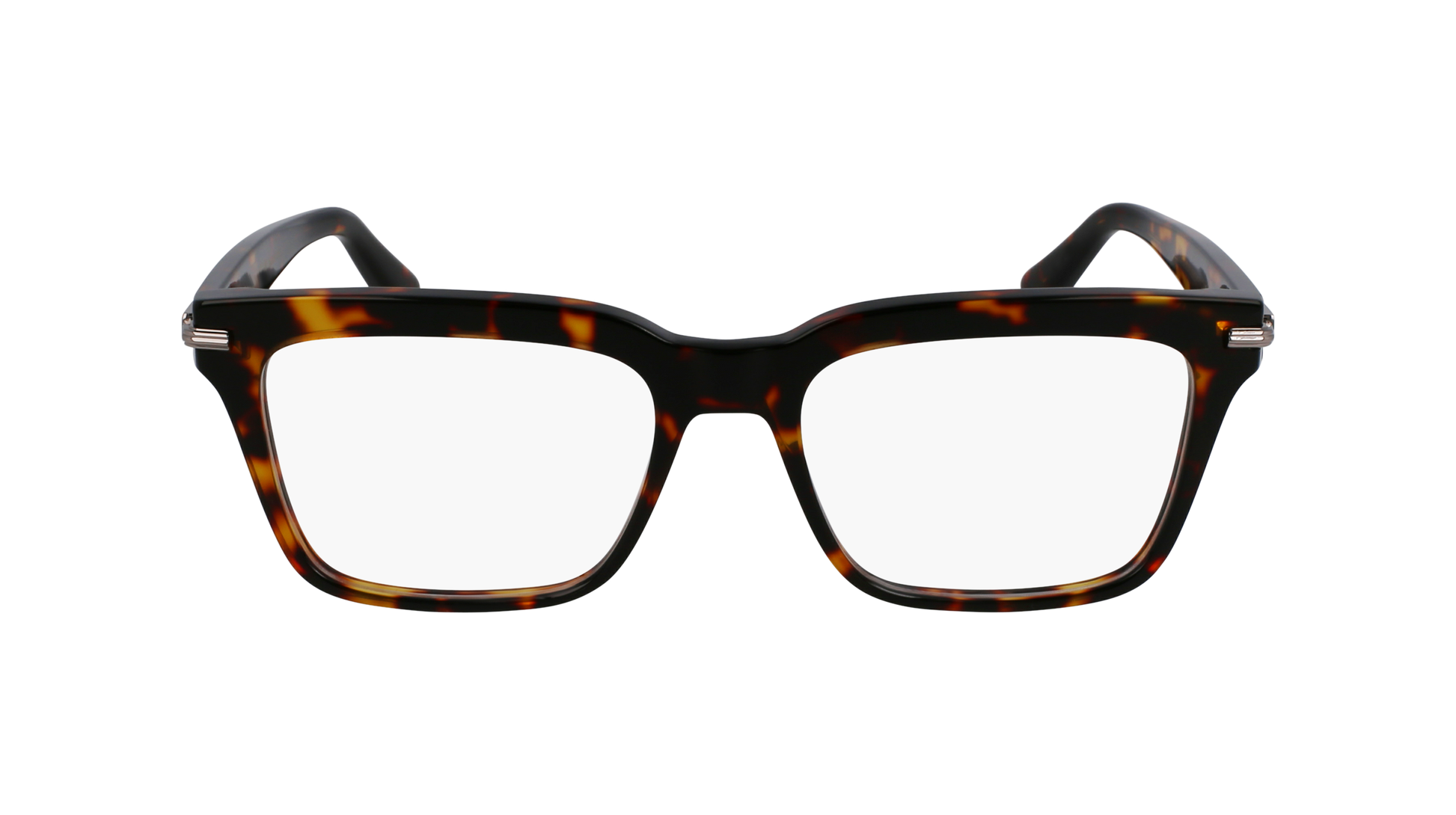 FERRAGAMO Eyeglasses SF3014 242 55