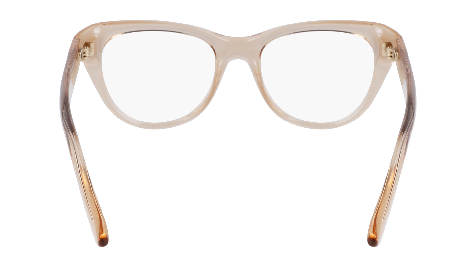 FERRAGAMO Eyeglasses SF2989E 259 51