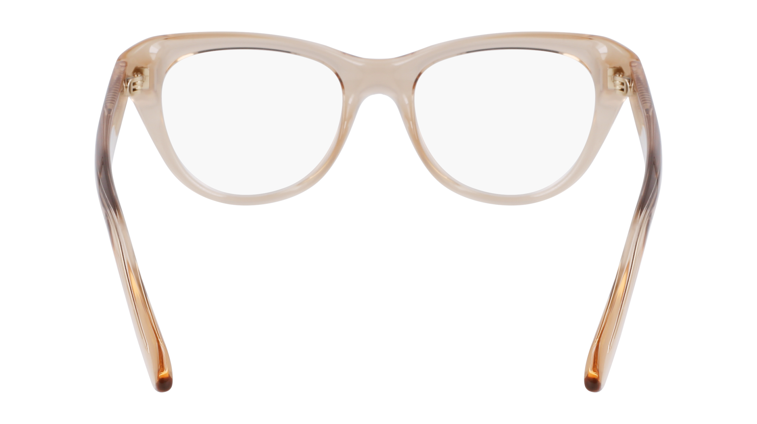 FERRAGAMO Eyeglasses SF2989E 259 51