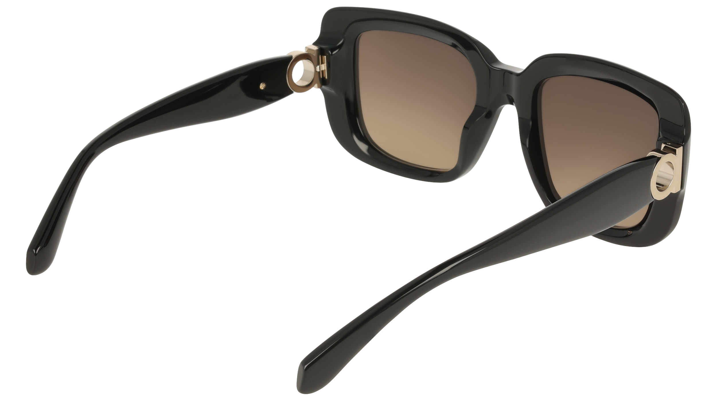 Ferragamo SF2117S 1