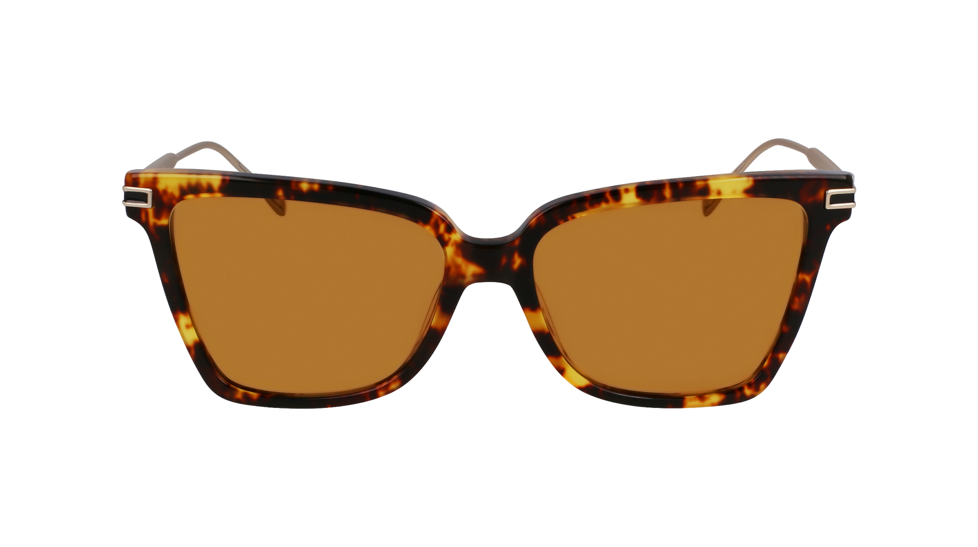 FERRAGAMO Sunglasses SF2036S 242 56