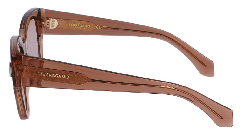 Ferragamo SF2007S 260 - Transparent nude Sunglasses  display picture 1