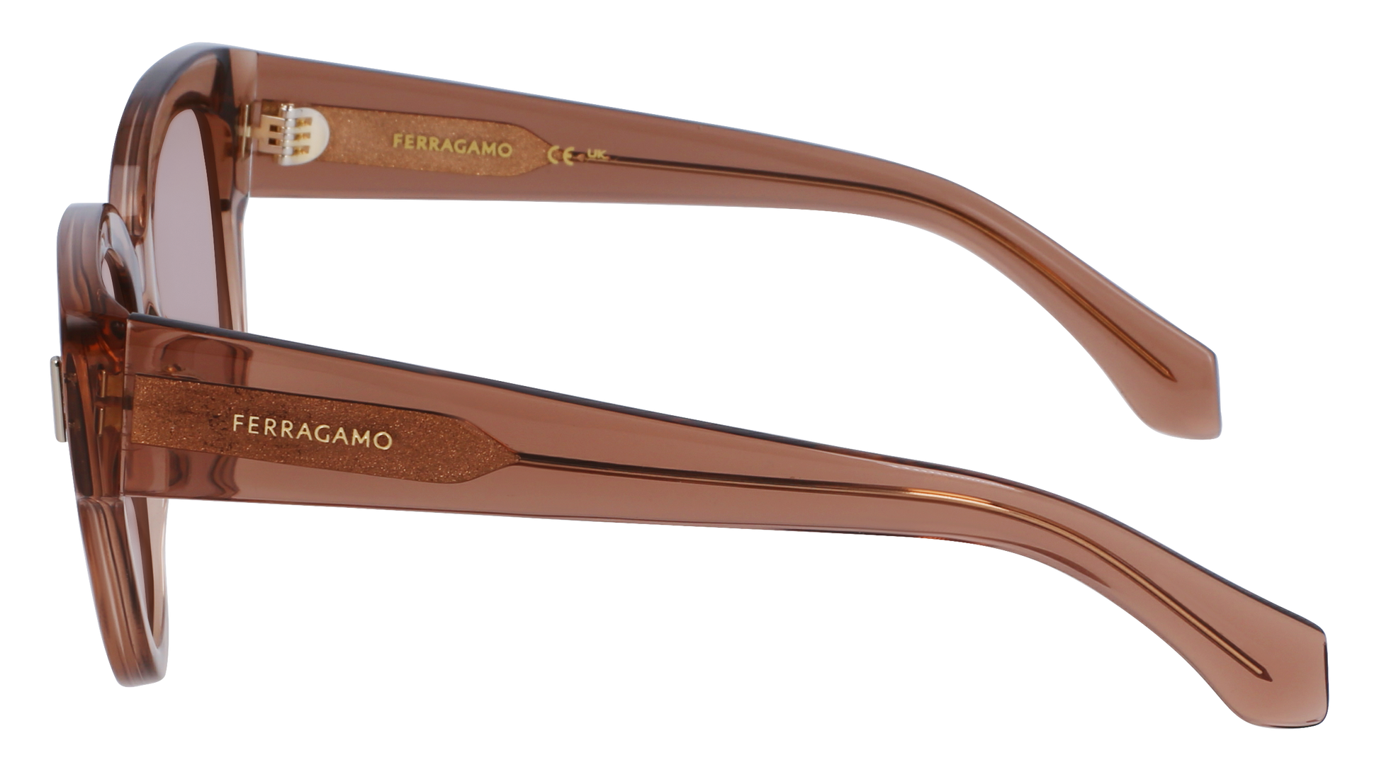 FERRAGAMO Sunglasses SF2007S 260 51