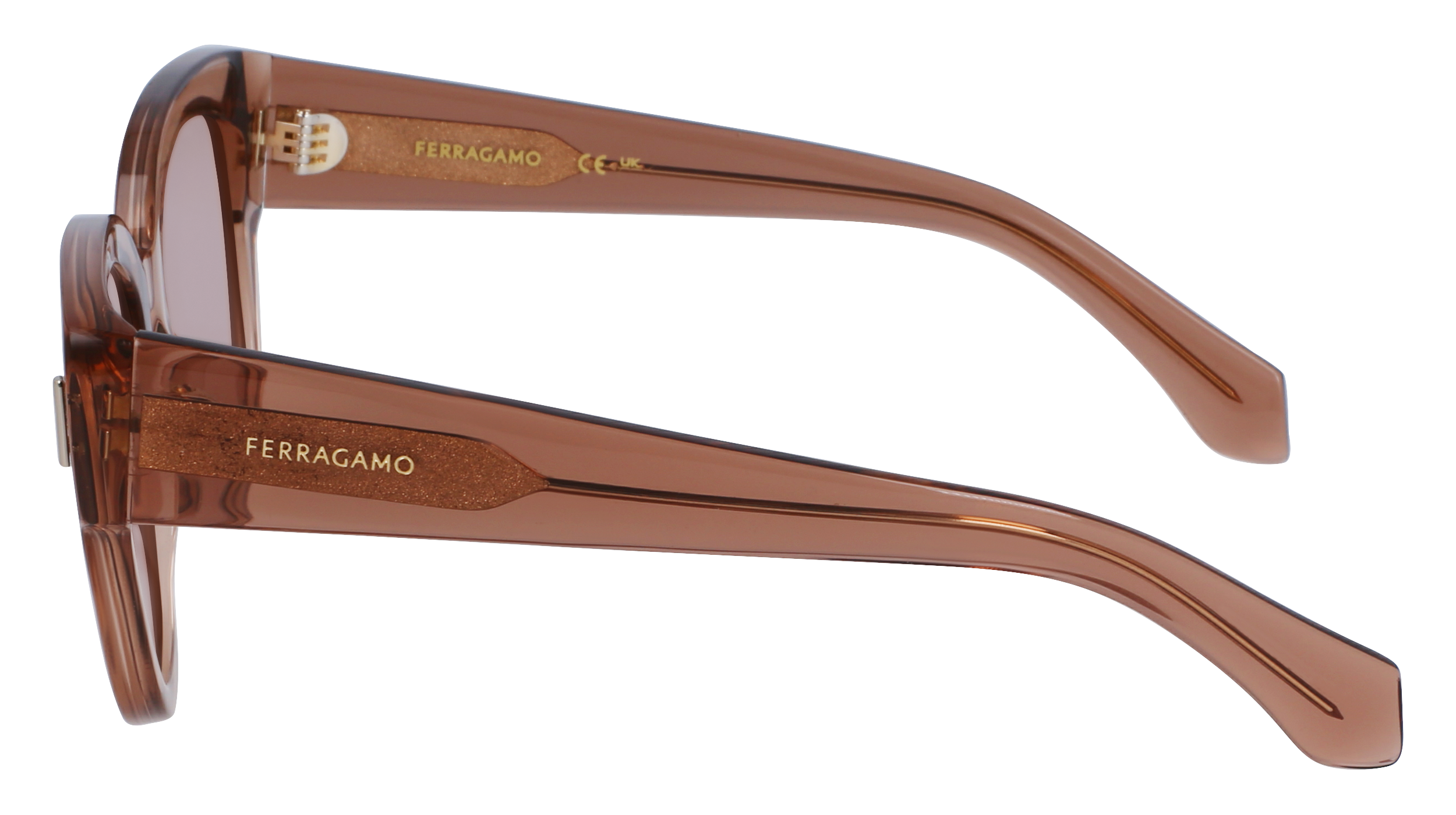 FERRAGAMO Sunglasses SF2007S 260 51