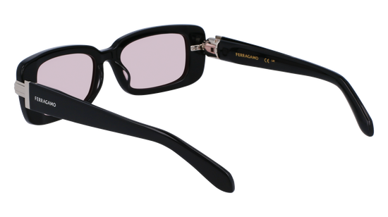 FERRAGAMO Sunglasses SF1105S 5 52