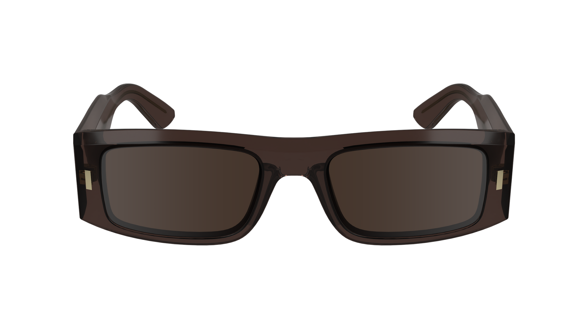 CALVIN KLEIN Sunglasses CK23537S 260 52