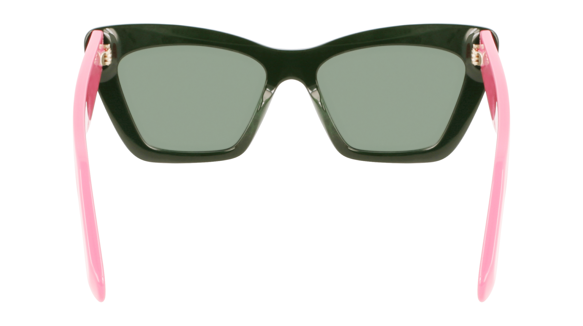 FERRAGAMO Sunglasses SF929S 304 55