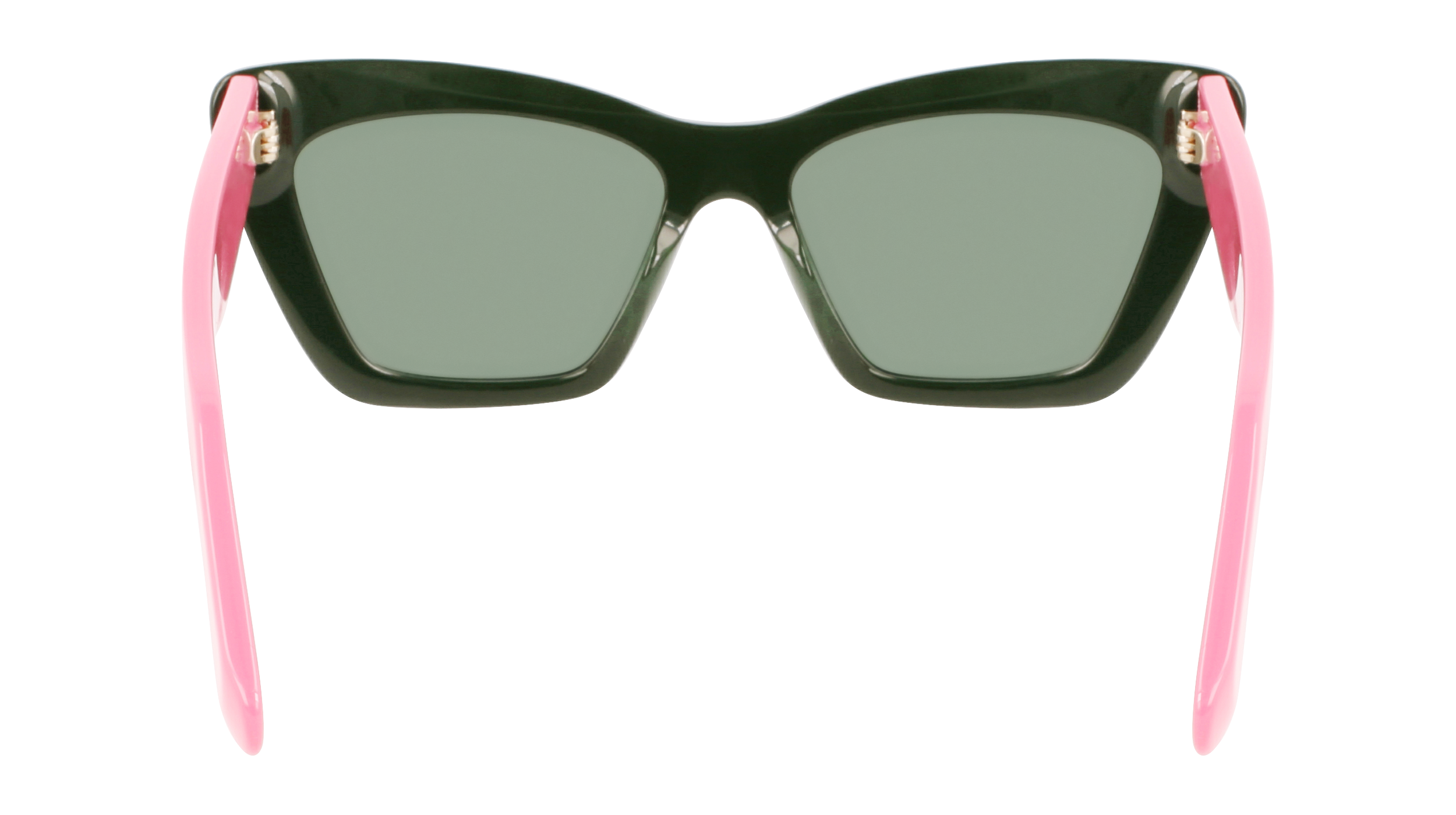 FERRAGAMO Sunglasses SF929S 304 55