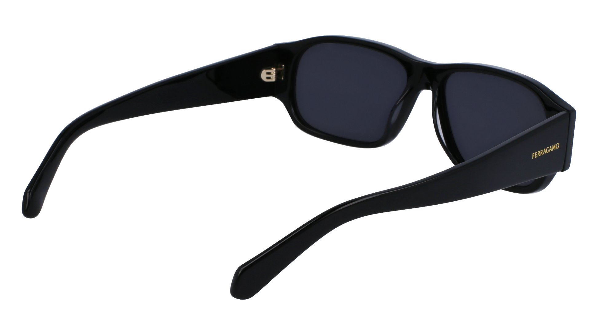 FERRAGAMO Sunglasses SF1109S 1 57