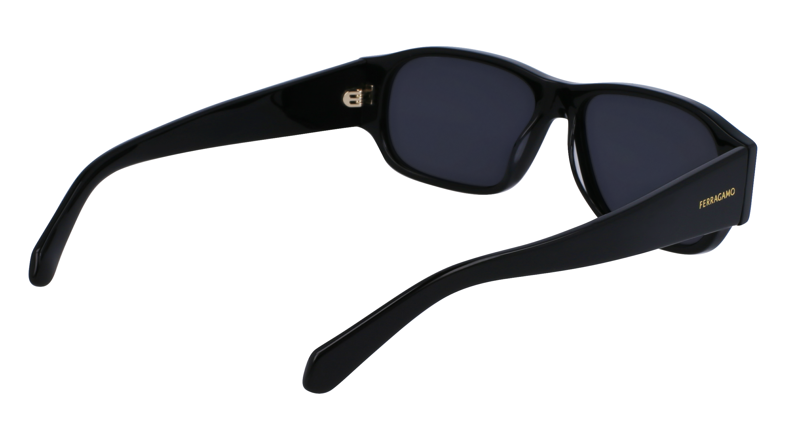 FERRAGAMO Sunglasses SF1109S 1 57