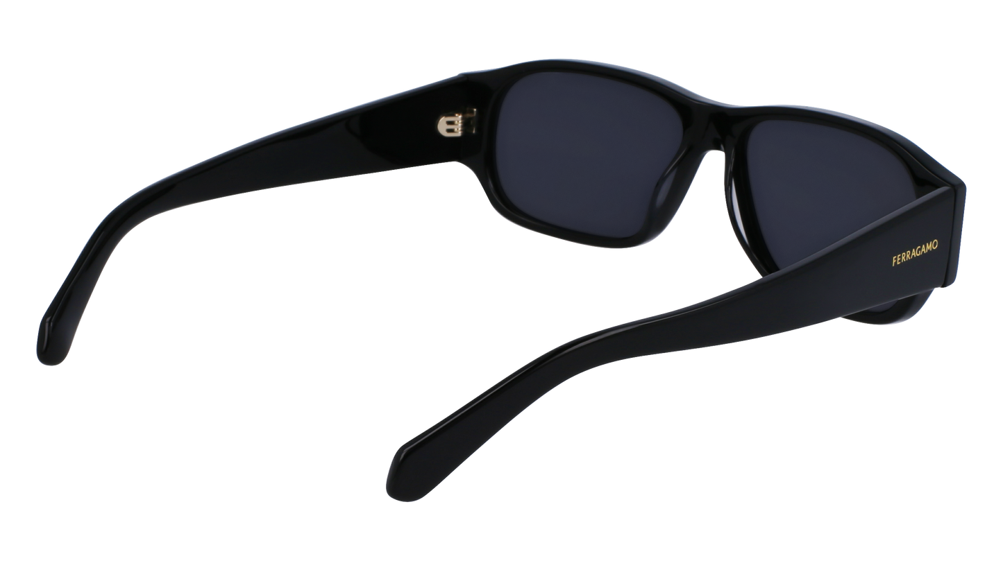 FERRAGAMO Sunglasses SF1109S 1 57