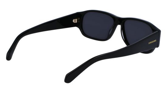 FERRAGAMO Sunglasses SF1109S 1 57