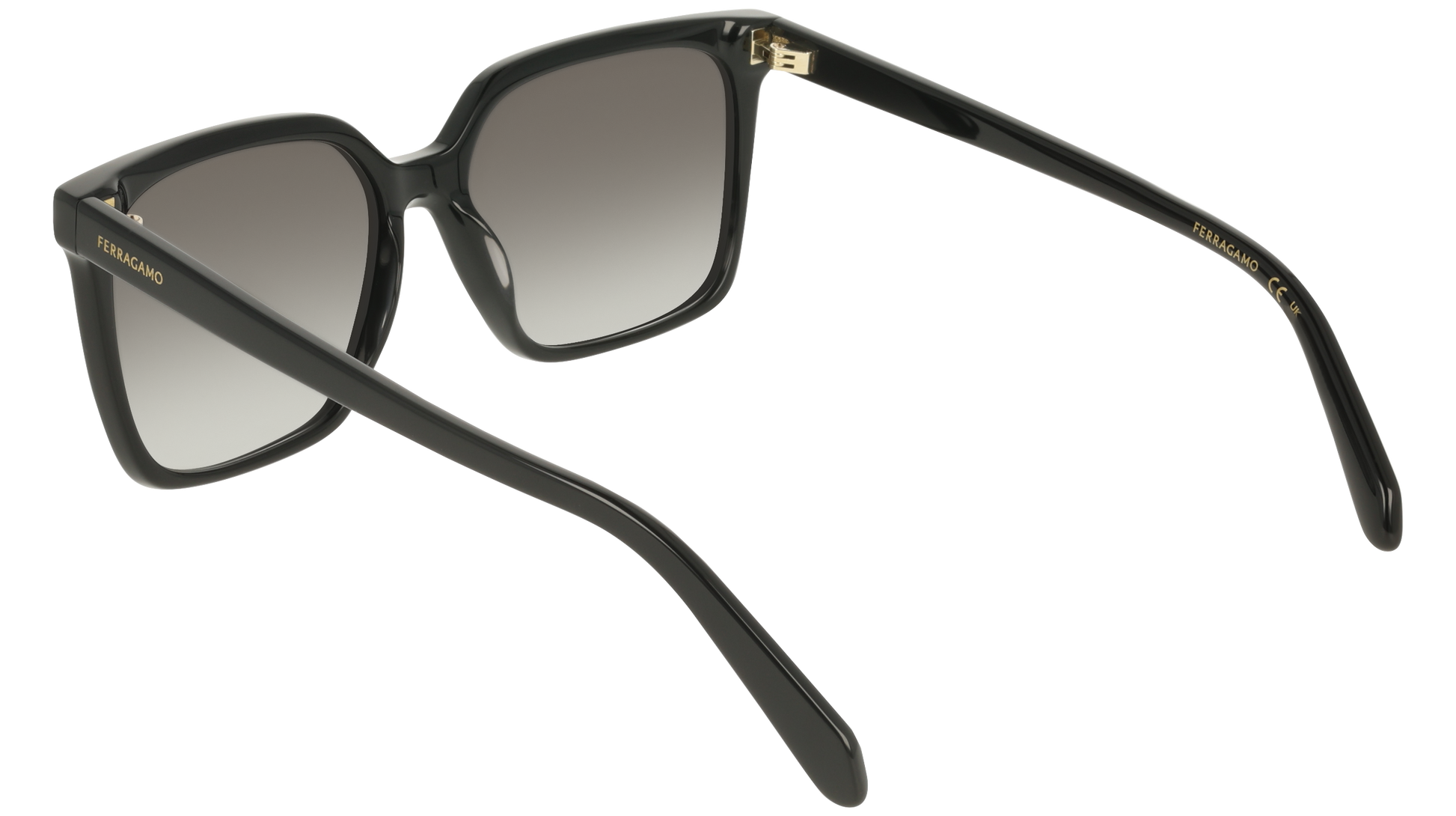 Ferragamo SF2102S 1