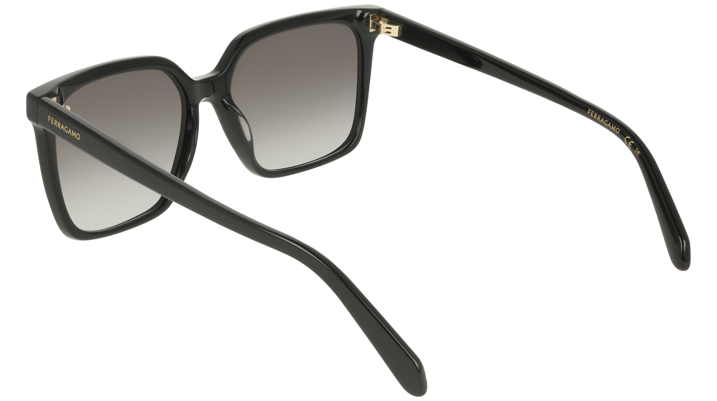 Ferragamo SF2102S 1