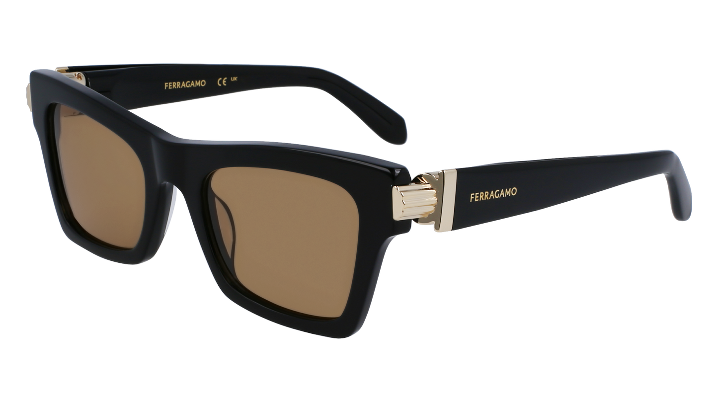 FERRAGAMO Sunglasses SF2013S 11 52